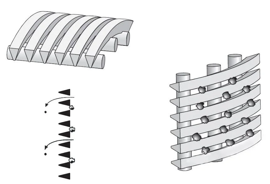 Schema di profili wedge wire piani e cilindrici
