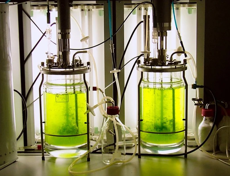 Bioreattore con diffusione del gas