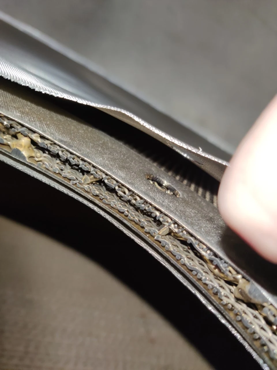 Struttura standard a cinque strati di una foglia circolare