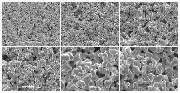 Micrografia del mezzo filtrante in polvere metallica