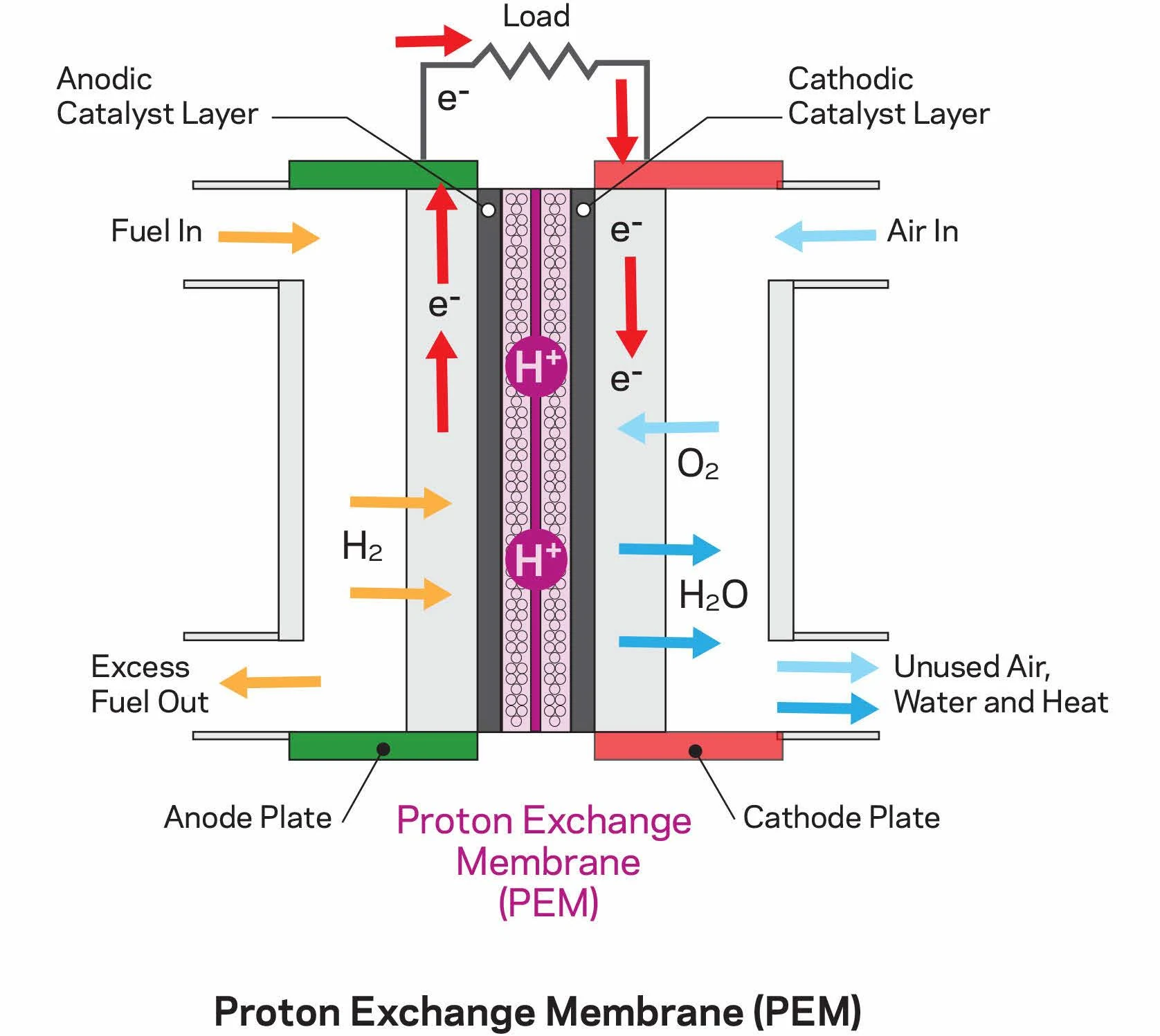 Schema di una cella a combustibile PEM
