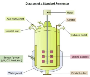 Schema di un fermentatore con diffusore sul fondo