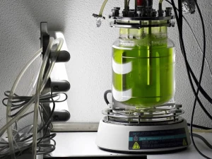 Reattore da laboratorio per la coltivazione di microalghe